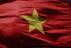 Vietnamese flag