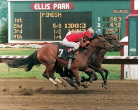 BetAmerica - Ellis Park racing